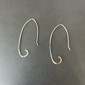 Silver earrings. Bought in Asheville NC at Elementality.